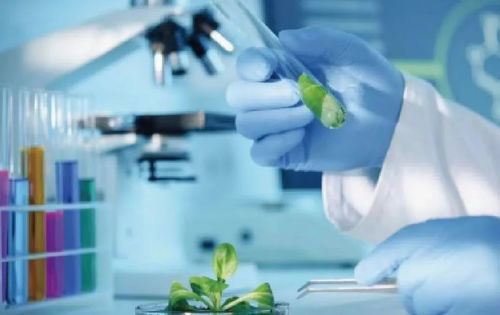 乡村推荐官 生物技术推广服务的桥梁与先锋